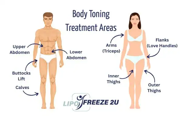 Graphic showing where you can have Body toning Treatment Leigh-on-Sea on your body